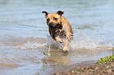 STAFFIE 179
